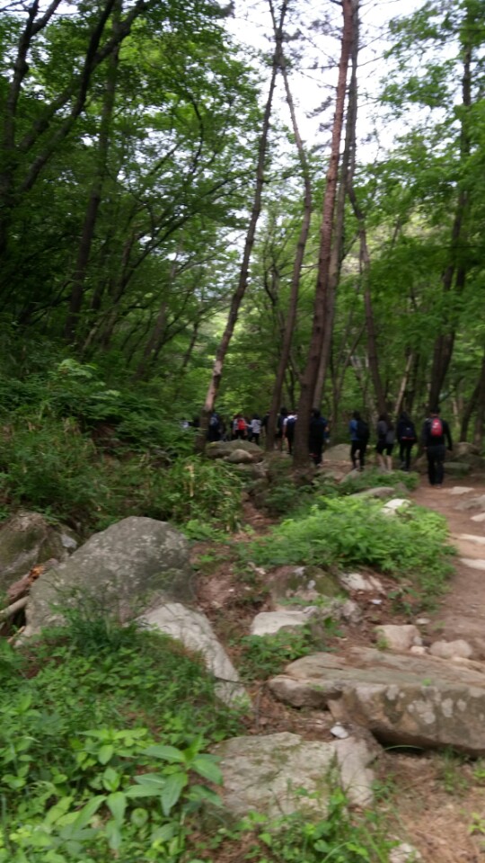 KakaoTalk_20150511_181918645.jpg 첨부 이미지