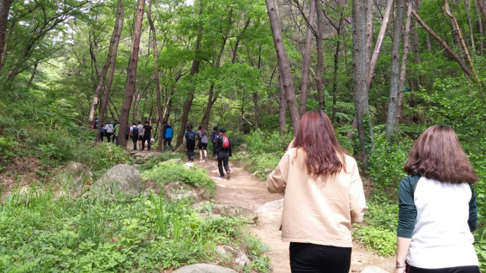 KakaoTalk_20150511_181919326.jpg 첨부 이미지